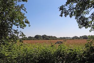 Photo 7- click for photo gallery